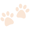 paw